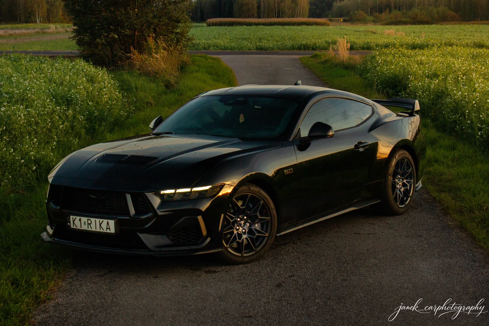 Czarny Ford Mustang na drodze wśród zieleni, w wieczornym świetle